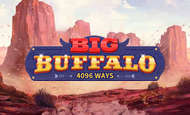 Big Buffalo
