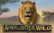 Africa Goes Wild Slot