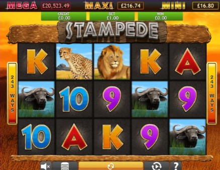 Stampede Jackpot uk slot game