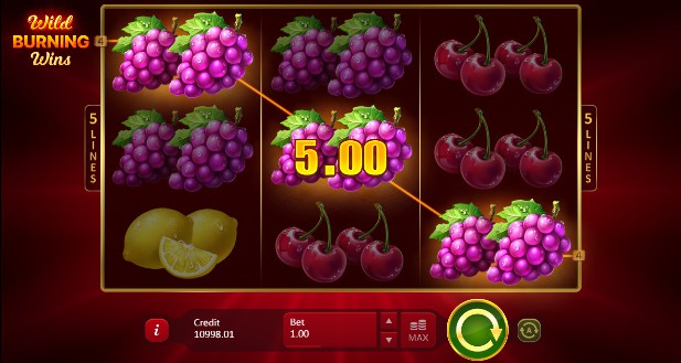 Wild Burning Wins: 5 Lines uk slot game