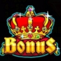 bonus crown symbol feature