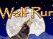 wolf run